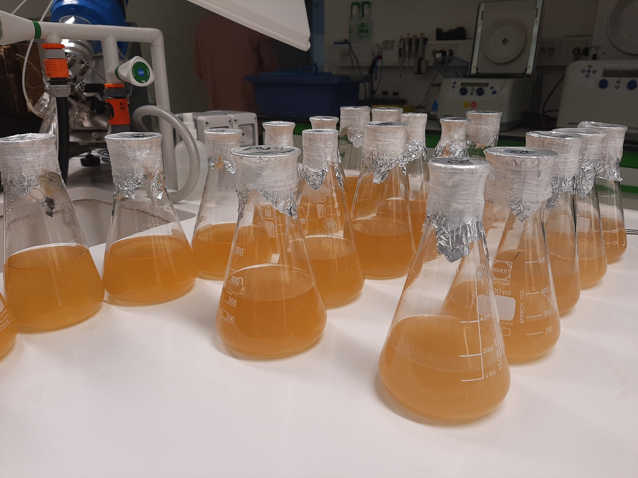 Liquid cultures of selected biocontrol agents